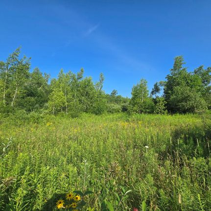 Property in Jefferson County, New York