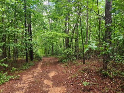 Property for sale in Clay County, Alabama