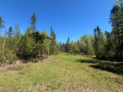 Property for sale in Chippewa County, Michigan