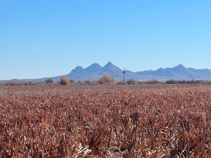 Property for sale in Luna County, New Mexico