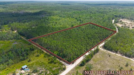 Hunting Land for sale in Dixie County, Florida