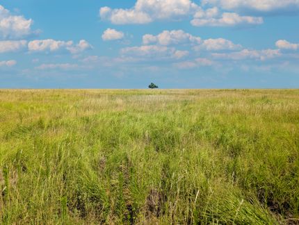 Property for sale in Bailey County, Texas