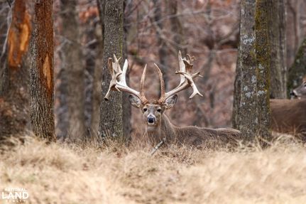 Property in Osage County, Missouri