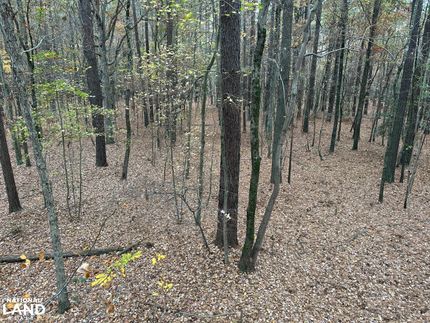 Property in Accomack County, Virginia