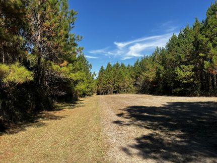 Property in Gadsden County, Florida