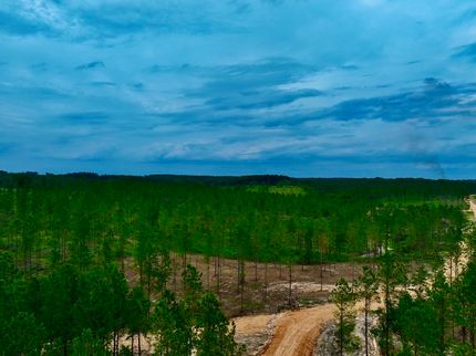 Property for sale in Walthall County, Mississippi