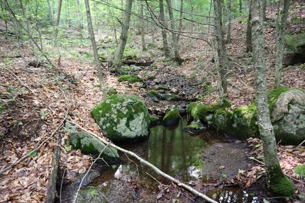 Timberland Property for sale in Warren County, New York