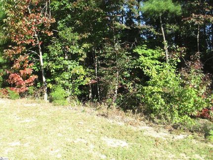 Property in Oconee County, South Carolina
