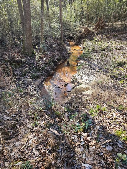 Property for sale in Dale County, Alabama