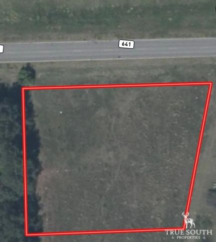 Undeveloped Land for sale in Allendale County, South Carolina