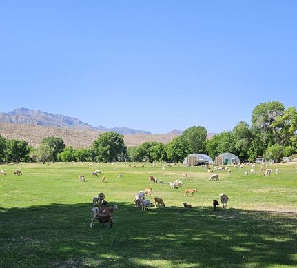 Property in Lincoln County, Nevada