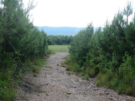 Hunting Land for sale in Randolph County, Alabama