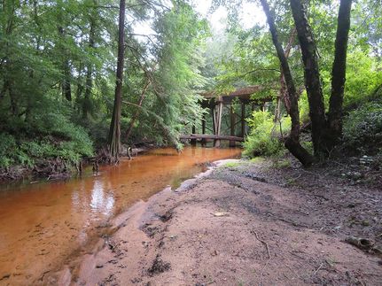 Property in Geneva County, Alabama