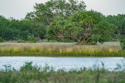 Property in Bee County, Texas