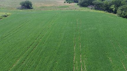 Property for sale in Lucas County, Iowa