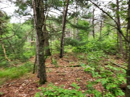 Property for sale in Juneau County, Wisconsin