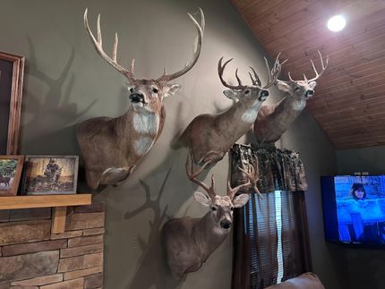 Property in Williamson County, Illinois