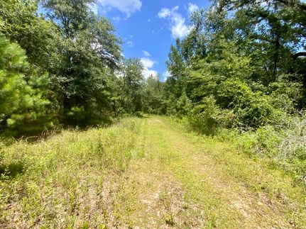 Property for sale in Madison County, Florida