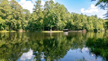 Property for sale in Tuscaloosa County, Alabama