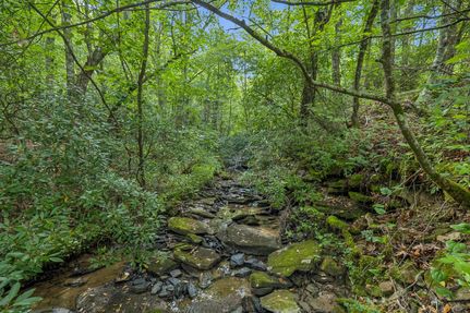 Property in Morgan County, Tennessee