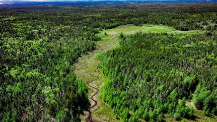 Property for sale in Washington County, Maine