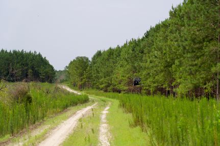 Property for sale in Barnwell County, South Carolina
