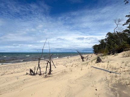 Property in Chippewa County, Michigan