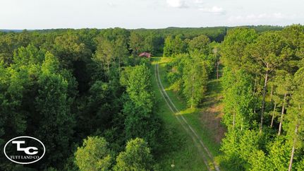 Hunting Land for sale in Tuscaloosa County, Alabama