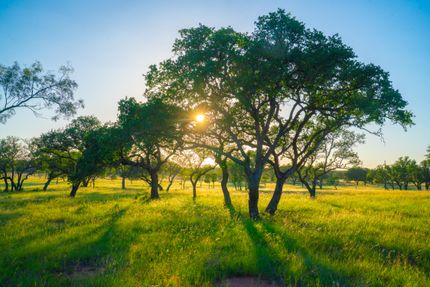 Property for sale in Blanco County, Texas