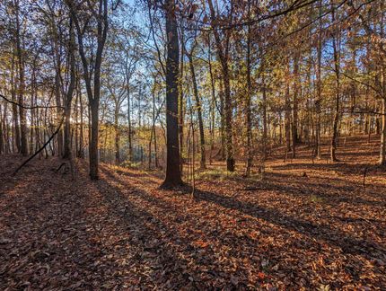 Property for sale in Amite County, Mississippi