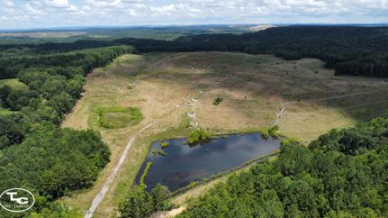 Property for sale in Jefferson County, Alabama