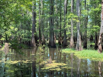 Property for sale in Lenoir County, North Carolina