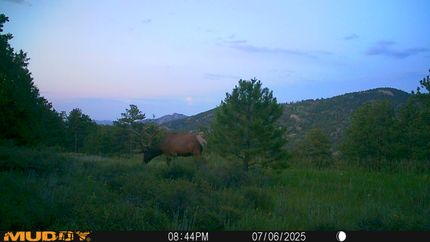 Property for sale in Larimer County, Colorado