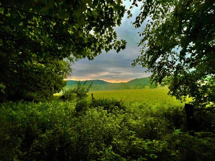 Property for sale in Sullivan County, New York