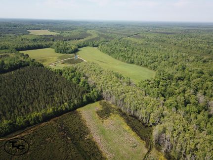 Property for sale in Marengo County, Alabama