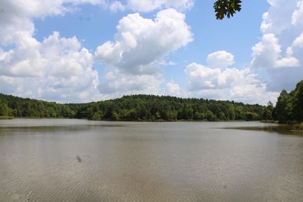 Timberland Property for sale in Marshall County, Mississippi