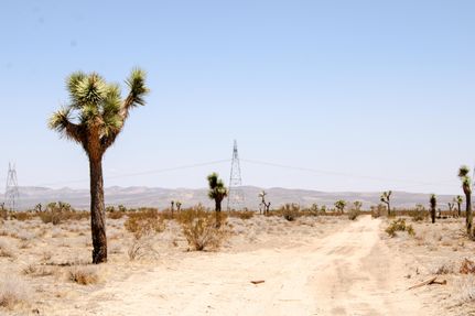 Undeveloped Land for sale in San Bernardino County, California