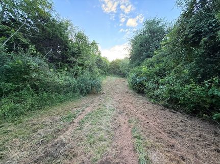 Timberland Property for sale in Roane County, Tennessee