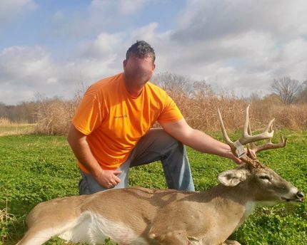 Property in Pulaski County, Illinois