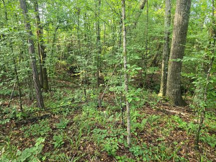 Property for sale in Randolph County, Alabama