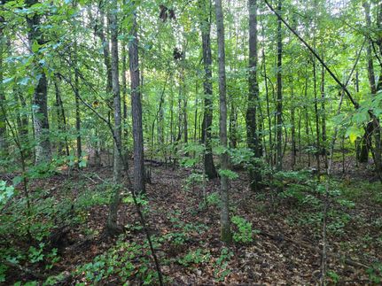 Property for sale in Randolph County, Alabama