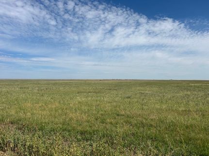 Hunting Land for sale in Elbert County, Colorado