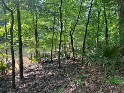 Property for sale in Madison Parish, Louisiana