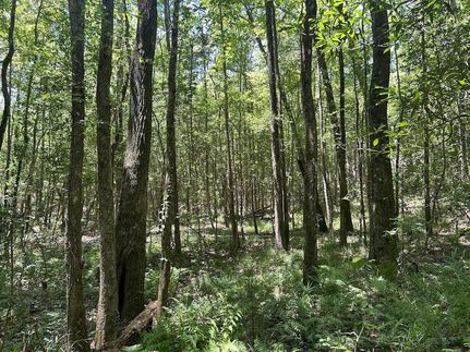 Property for sale in Chilton County, Alabama