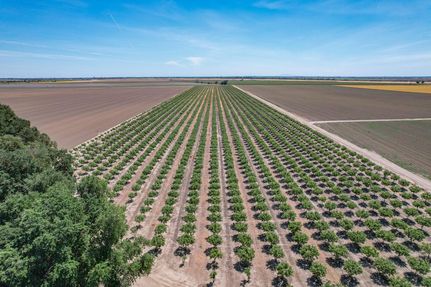 Farm Property for sale in Yolo County, California