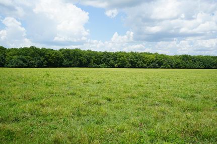 Property for sale in Montgomery County, Alabama