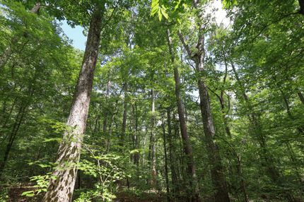 Property for sale in Jackson Parish, Louisiana