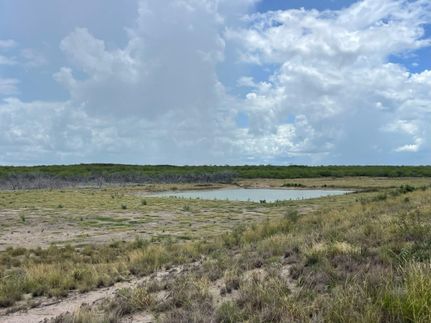 Property for sale in La Salle County, Texas