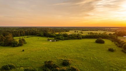 Property in Bullock County, Alabama