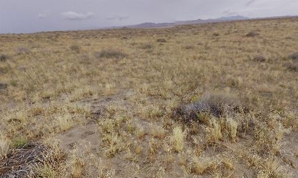 Residential Property for sale in Humboldt County, Nevada